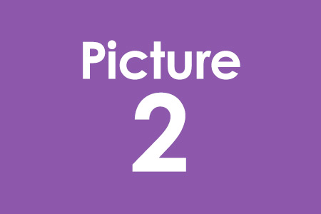 Story 1 Picture 2 Alt Text